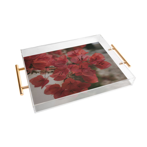 Hello Twiggs Moody Bougainvilleas Acrylic Tray