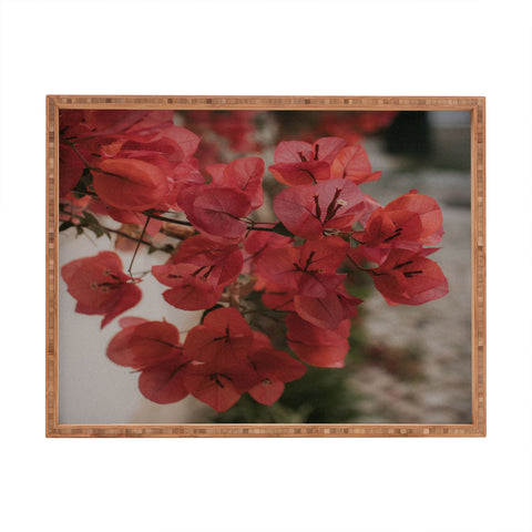 Hello Twiggs Moody Bougainvilleas Rectangular Tray