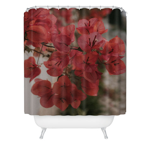 Hello Twiggs Moody Bougainvilleas Shower Curtain