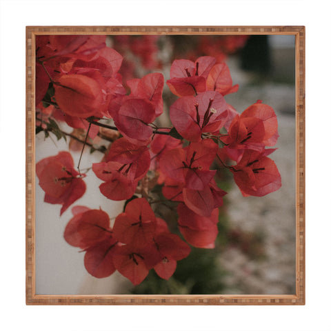 Hello Twiggs Moody Bougainvilleas Square Tray