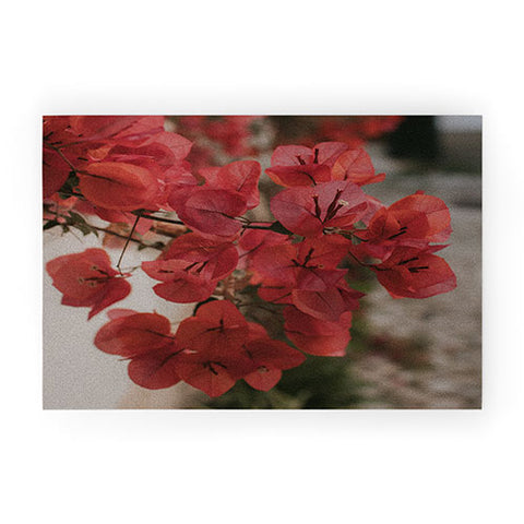 Hello Twiggs Moody Bougainvilleas Welcome Mat