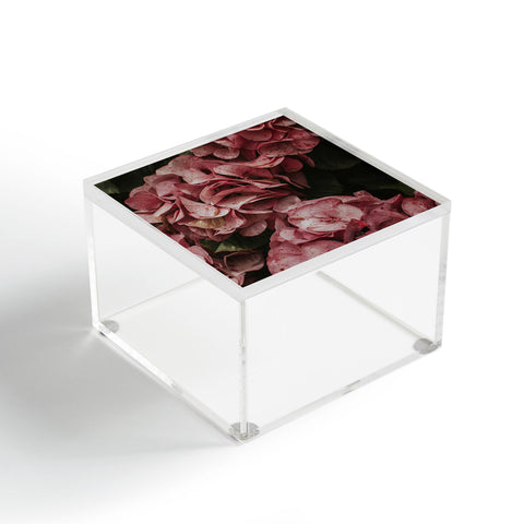 Hello Twiggs Old Pink Hydrangeas Acrylic Box
