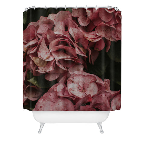 Hello Twiggs Old Pink Hydrangeas Shower Curtain