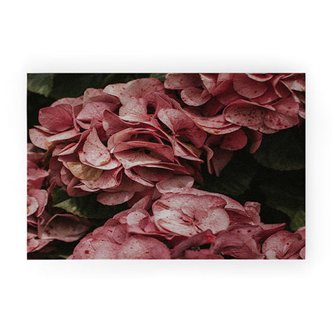 Hello Twiggs Old Pink Hydrangeas Welcome Mat