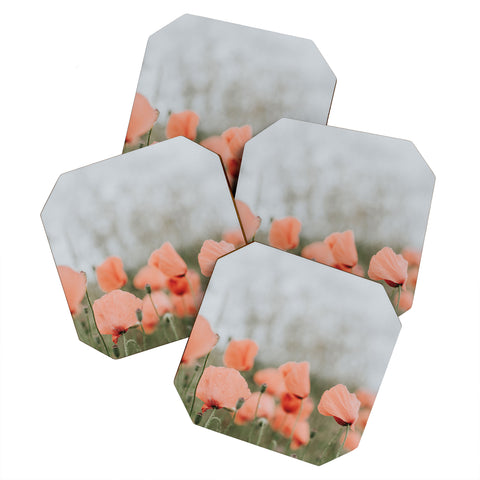 Hello Twiggs Peach Red Poppies Coaster Set
