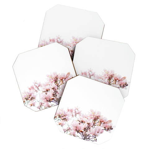 Hello Twiggs Pink Magnolias Coaster Set