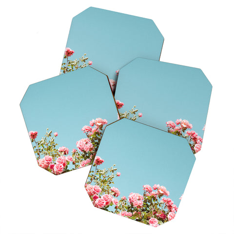 Hello Twiggs Roses are Pink Coaster Set