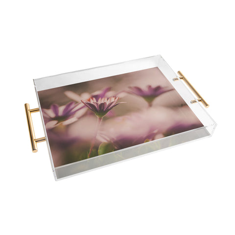 Hello Twiggs Soft Daisies Acrylic Tray