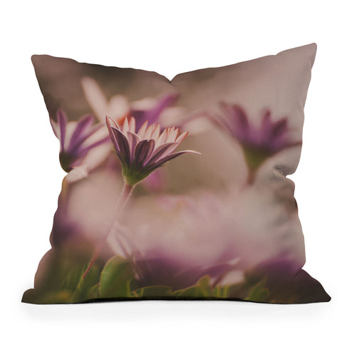 Hello Twiggs Soft Daisies Outdoor Throw Pillow