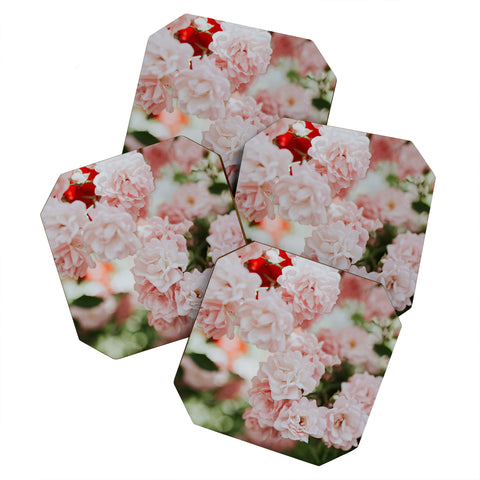 Hello Twiggs Soft Pink Roses Coaster Set