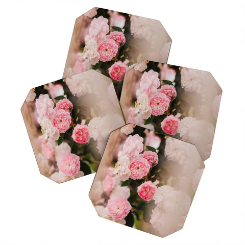 Hello Twiggs Soft Roses Coaster Set