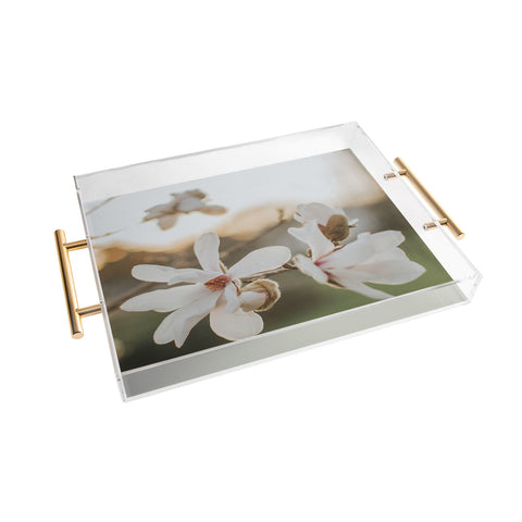 Hello Twiggs Sunset Magnolias Acrylic Tray