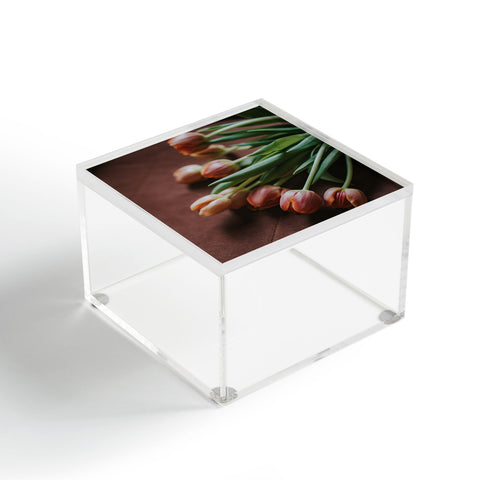 Hello Twiggs Terracotta Tulips Acrylic Box