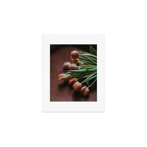Hello Twiggs Terracotta Tulips Art Print
