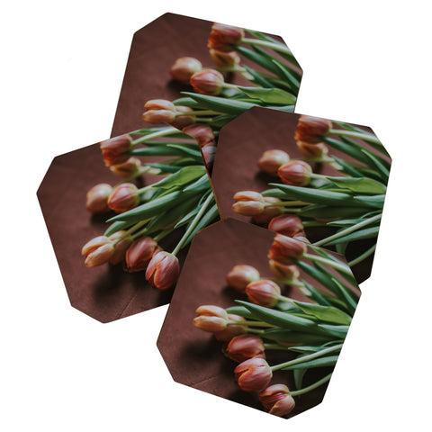 Hello Twiggs Terracotta Tulips Coaster Set