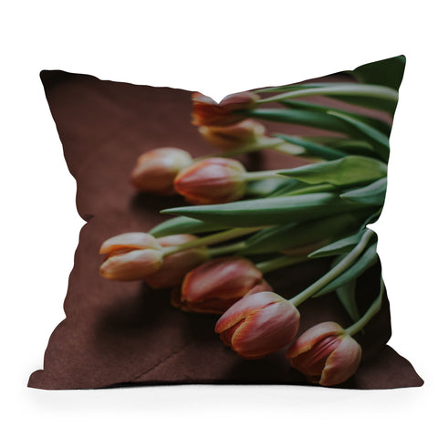 Hello Twiggs Terracotta Tulips Outdoor Throw Pillow