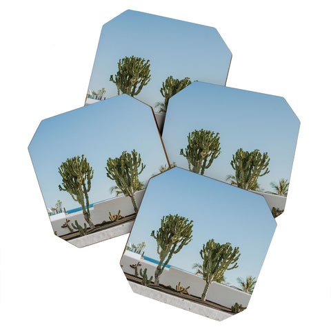 Hello Twiggs Three Cactus Coaster Set