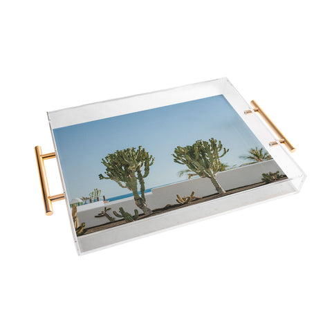 Hello Twiggs Three Cactus Acrylic Tray