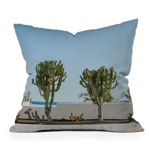 Hello Twiggs Three Cactus Outdoor Throw Pillow