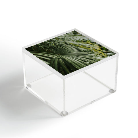 Hello Twiggs Tropical Green Palm Acrylic Box