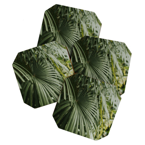 Hello Twiggs Tropical Green Palm Coaster Set