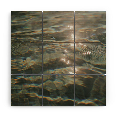 Hello Twiggs Water Reflections Wood Wall Mural