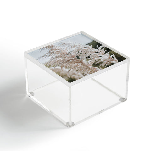 Hello Twiggs White Breeze II Acrylic Box