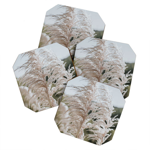 Hello Twiggs White Breeze II Coaster Set