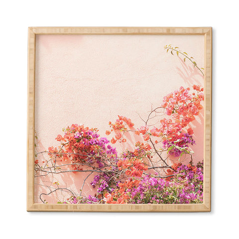 Henrike Schenk - Travel Photography Bougainvillea Flowers in Color Framed Wall Art