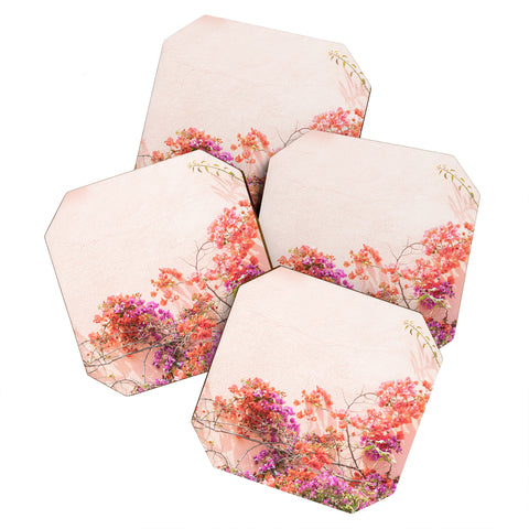 Henrike Schenk - Travel Photography Bougainvillea Flowers in Color Coaster Set