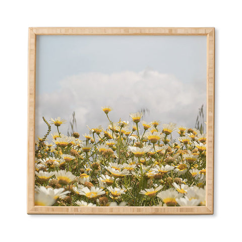 Henrike Schenk - Travel Photography Garden of Daisy Flowers Framed Wall Art