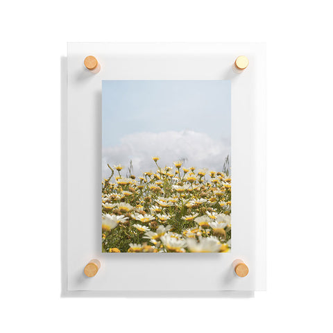 Henrike Schenk - Travel Photography Garden of Daisy Flowers Floating Acrylic Print