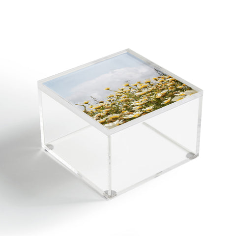 Henrike Schenk - Travel Photography Garden of Daisy Flowers Acrylic Box