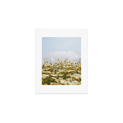 Henrike Schenk - Travel Photography Garden of Daisy Flowers Art Print