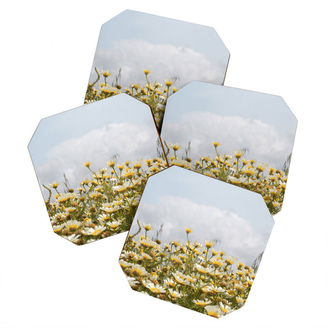 Henrike Schenk - Travel Photography Garden of Daisy Flowers Coaster Set