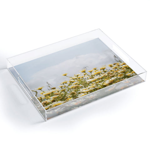 Henrike Schenk - Travel Photography Garden of Daisy Flowers Acrylic Tray