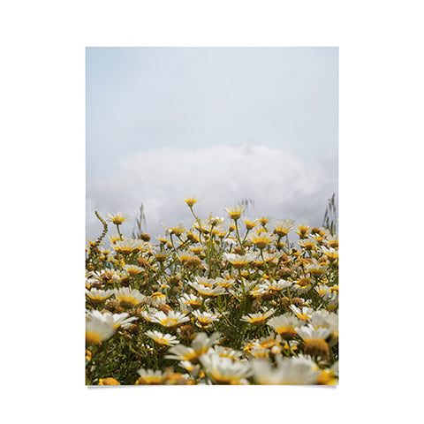 Henrike Schenk - Travel Photography Garden of Daisy Flowers Poster