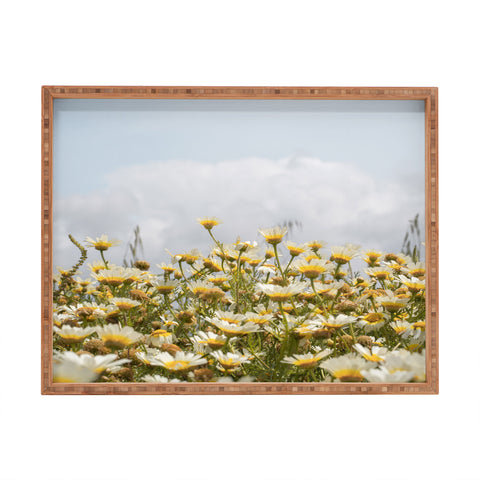 Henrike Schenk - Travel Photography Garden of Daisy Flowers Rectangular Tray