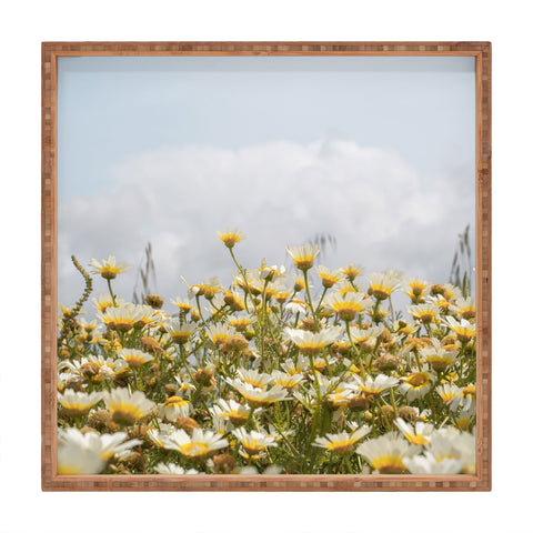 Henrike Schenk - Travel Photography Garden of Daisy Flowers Square Tray