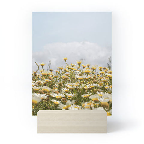 Henrike Schenk - Travel Photography Garden of Daisy Flowers Mini Art Print