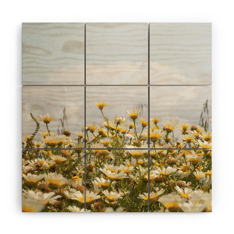 Henrike Schenk - Travel Photography Garden of Daisy Flowers Wood Wall Mural
