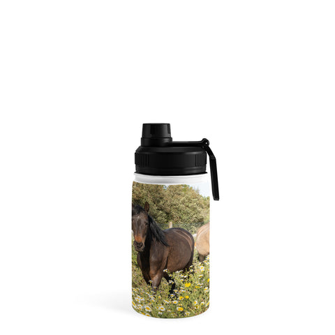 Henrike Schenk - Travel Photography Horses in a Field of Wildflowers Water Bottle