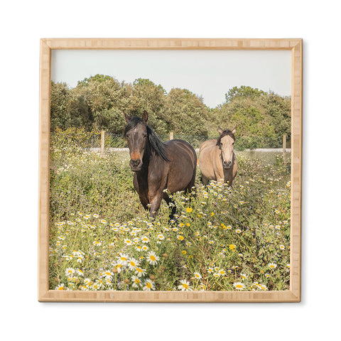 Henrike Schenk - Travel Photography Horses in a Field of Wildflowers Framed Wall Art