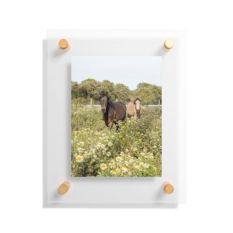 Henrike Schenk - Travel Photography Horses in a Field of Wildflowers Floating Acrylic Print