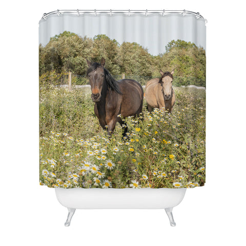 Henrike Schenk - Travel Photography Horses in a Field of Wildflowers Shower Curtain