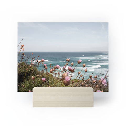 Henrike Schenk - Travel Photography Pink Flowers by the Ocean Mini Art Print