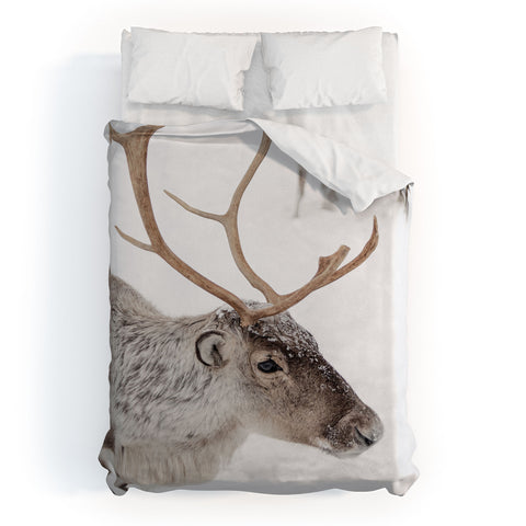 Henrike Schenk - Travel Photography Reindeer With Antlers Art Print Tromso Norway Animal Snow Photo Duvet Cover