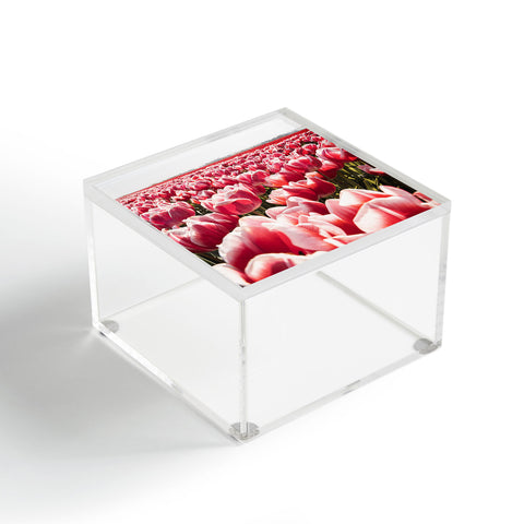 Henrike Schenk - Travel Photography Tulip Field In Holland Floral Acrylic Box