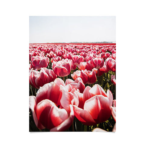 Henrike Schenk - Travel Photography Tulip Field In Holland Floral Poster