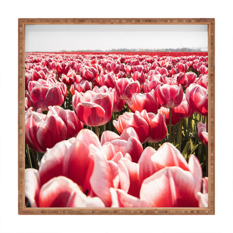 Henrike Schenk - Travel Photography Tulip Field In Holland Floral Square Tray